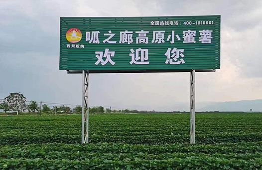 西双版纳日升农业开发有限公司